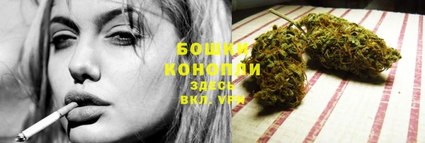 PSILOCYBIN Абдулино