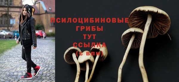 PSILOCYBIN Абдулино