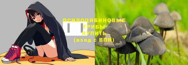 дурь Шарыпово