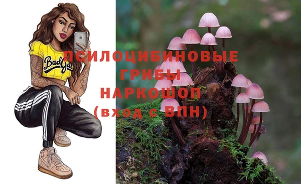 МДПВ Шадринск