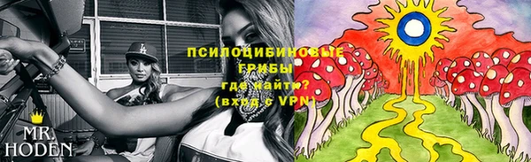 МДПВ Шадринск