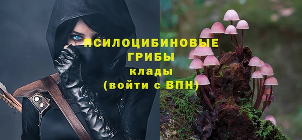 PSILOCYBIN Абдулино