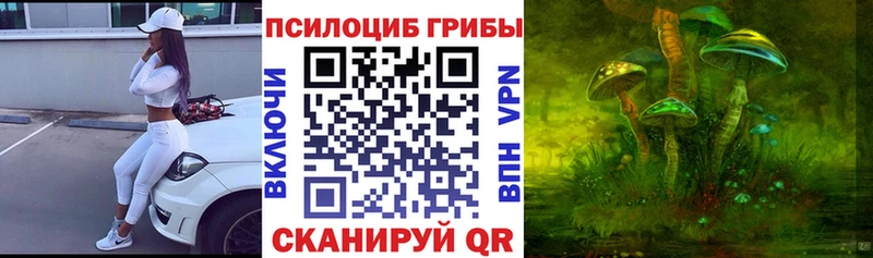 Псилоцибиновые грибы Cubensis Тбилисская