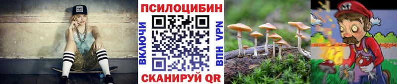 где продают наркотики  Тбилисская  Галлюциногенные грибы Psilocybe 